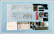 Aҗ؉i_kNH̑fsł邱Ƃ𗧏؂`O2hD{[N@ 